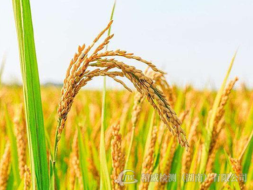 農(nóng)產(chǎn)品監(jiān)測(cè) 農(nóng)產(chǎn)品監(jiān)測(cè)